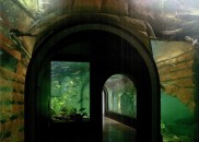 Donau_Aquarium01