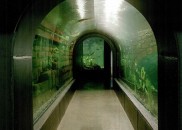 Donau_Aquarium02