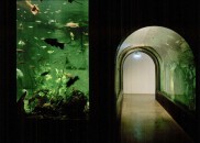 Donau_Aquarium03